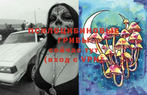 спиды Бугульма