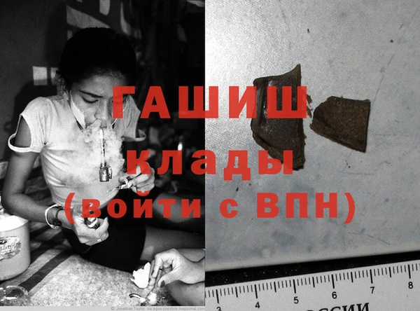 сатива Бронницы