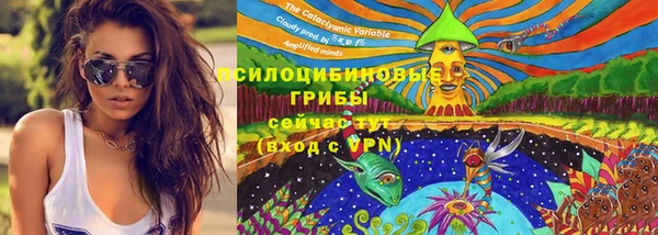 спиды Россошь