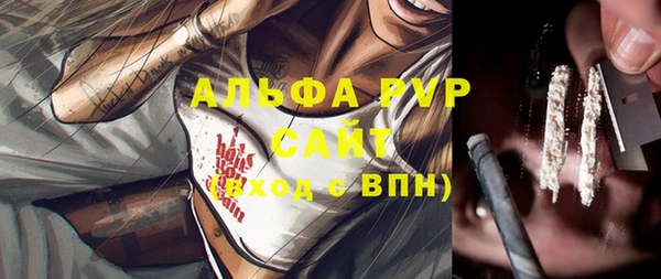 сатива Бронницы