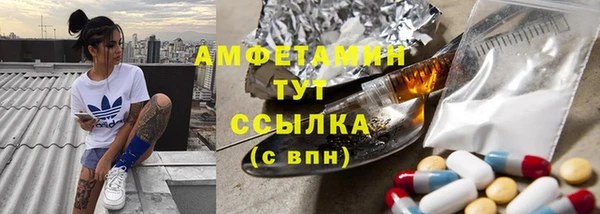 сатива Бронницы