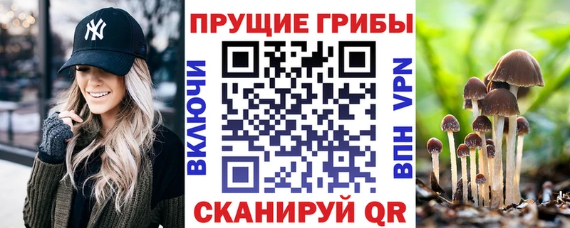 кракен tor  цены   Карпинск  Галлюциногенные грибы мицелий 